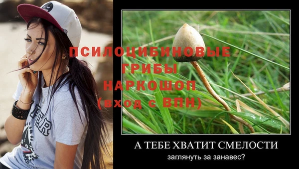 дурь Куйбышев