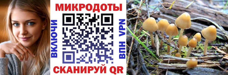 Псилоцибиновые грибы Cubensis  Купить  Кореновск 